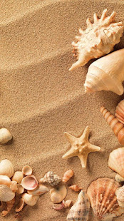 Sea Shell Live Wallpaper(圖2)-速報App
