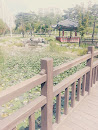 The Pond Of Dongchundang Park