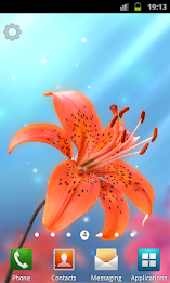 My Lovely Lily LWP poster 1