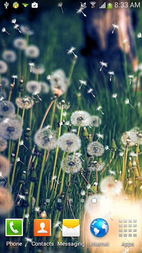 Dandelion Live Wallpaper