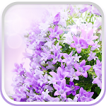 Cover Image of ดาวน์โหลด ดอกไม้สีม่วงสดวอลล์เปเปอร์ 2.2 APK