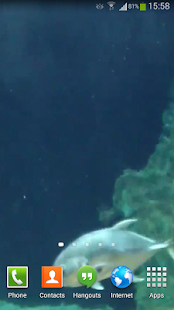 Aquarium Live Wallpaper 3 Free(圖5)-速報App