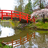 Oriental Gardens by Kathy Suttles -  