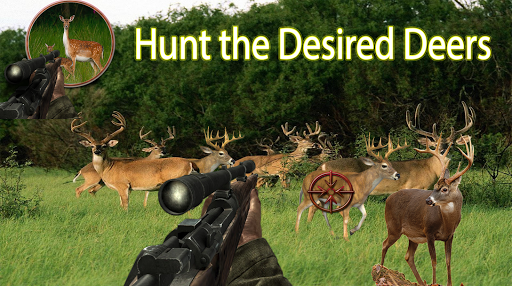 Deer Hunter:Jungle Sniper