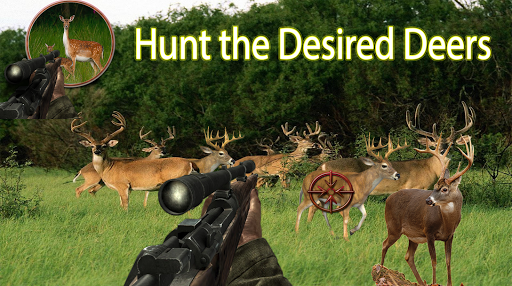 【免費動作App】Deer Hunter:Jungle Sniper-APP點子