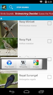 World Birds Sounds Complete(圖3)-速報App