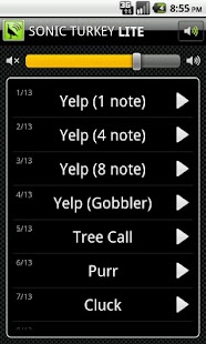 Free Download Sonic Turkey Lite APK for PC