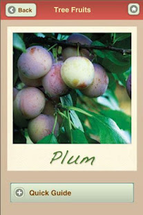 Growing Your Own Organic Fruit(圖4)-速報App