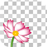 Edge Tracer -Remove background1.4.0