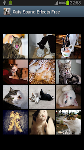 How to mod Cats Sound Effects Free 1.0 unlimited apk for bluestacks