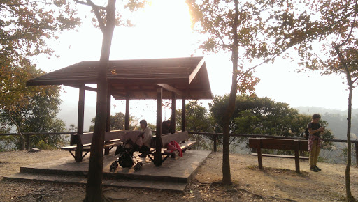Tai Tong Trail Rest Spot