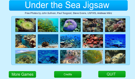 Under the Sea Jigsaw