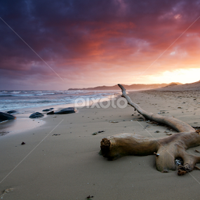 Stranded by Bruce Meaker - Landscapes Sunsets & Sunrises