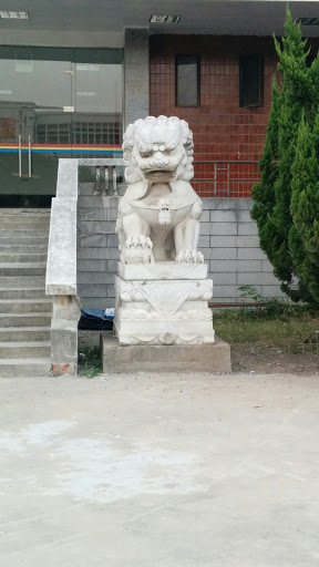 中南财经政法大学首义会堂前石狮子