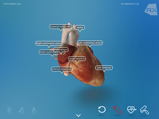 【免費醫療App】Heart Explore 3D-APP點子