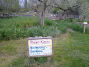 Project Grow Discovery Gardens