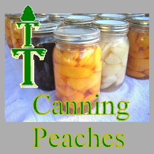 Canning Fresh Peaches 1.0