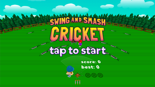 Swing and Smash Cricket