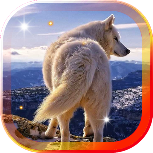 Wild Wolf HD live wallpaper LOGO-APP點子