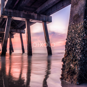 jax pier by Mike Pedigo - Landscapes Beaches