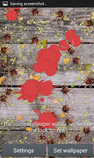 免費下載個人化APP|Insectos en todas partes app開箱文|APP開箱王