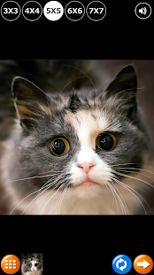 download Teka-teki: kucing lucu 2 free