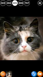 Tile Puzzle: Cute Kittens 2 poster 6