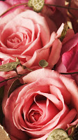 Roses Live Wallpaper APK 屏幕截图图片 #1