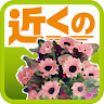 Near the flower shop (e-shops local) Application icon