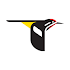 Merlin Bird ID by Cornell Lab of Ornithology1.5.1