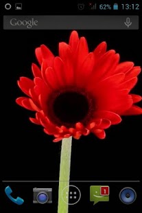 Free Flower Opening Live Wallpaper APK