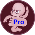 What’s Kickin’ Pro logo