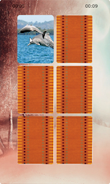 Dolphin Matching poster 3