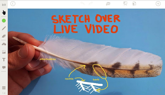 Stage: Whiteboard and Camera(圖6)-速報App