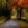 Rain In Autumn Live Wallpaper Download on Windows
