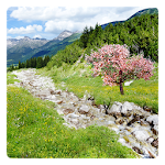 Cover Image of Télécharger Mountain Stream Live Wallpaper 1.0.1 APK