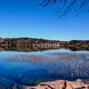 Afternoon Delight by Robert Marquis - Landscapes Waterscapes