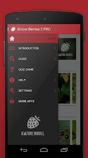 Wild Berries and Herbs 2 PRO(圖3)-速報App