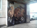 Граффити Лошади