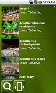 How to download Aquarium fish. lastet apk for android