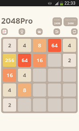 2048 Professional 5×5 poster 2