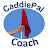 Скачать CaddiePal Coach APK для Windows