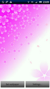 Cherry Blossom Live Wallpaper(圖2)-速報App