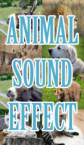 animal sound effects