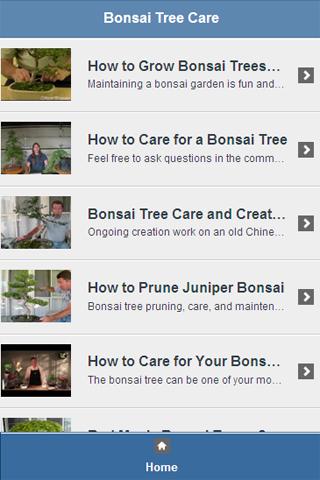 Bonsai Tree Care Video