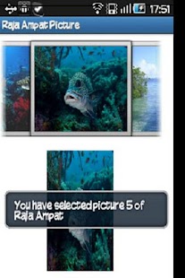 Free Raja Ampat Picture APK