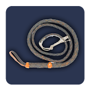 The Whip HD  Icon