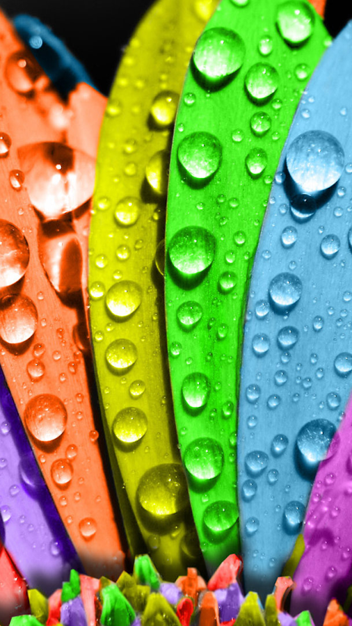 Colors Wallpapers for Chat- screenshot Colorful Wallpapers For Whatsapp Colorful Wallpapers For Whatsapp Colors Wallpapers for Chat- screenshot