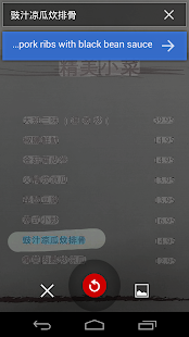 Google Translate - screenshot thumbnail