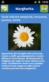 Blumy - Linguaggio dei fiori poster 3
